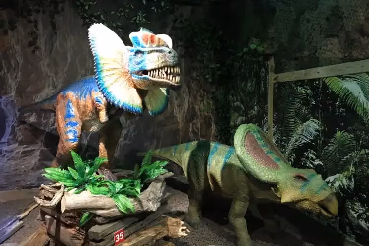 Realistische Dinosaurier-Nachbildungen in einer Dschungelkulisse im Tirolland – eine spannende Indoor Aktivität in Tirol für die ganze Familie.