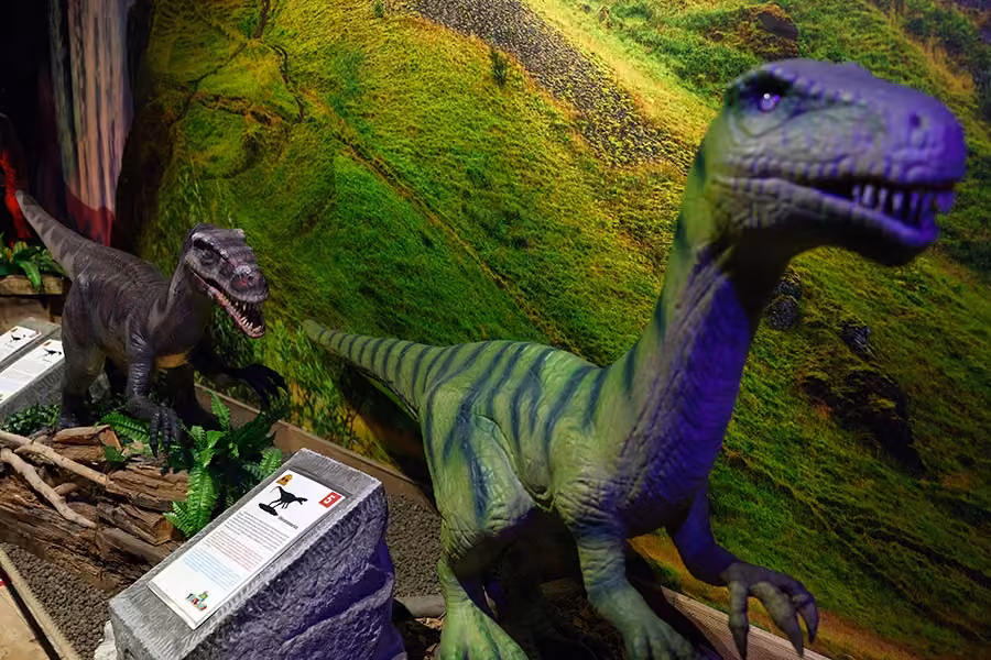 Dinosaurier