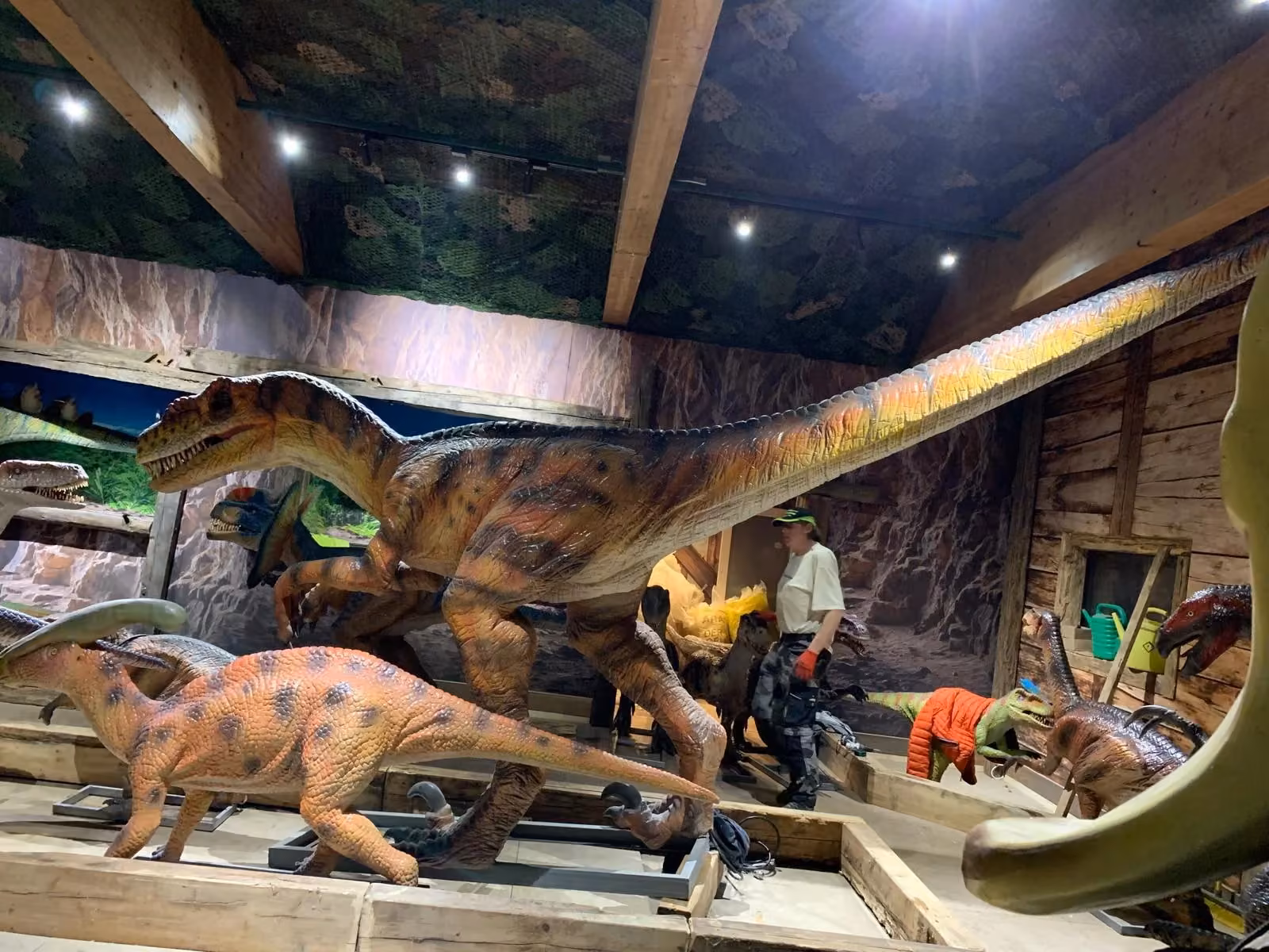 Dinosaurier