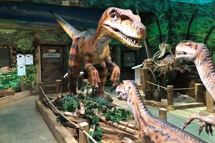 dino7-min-min