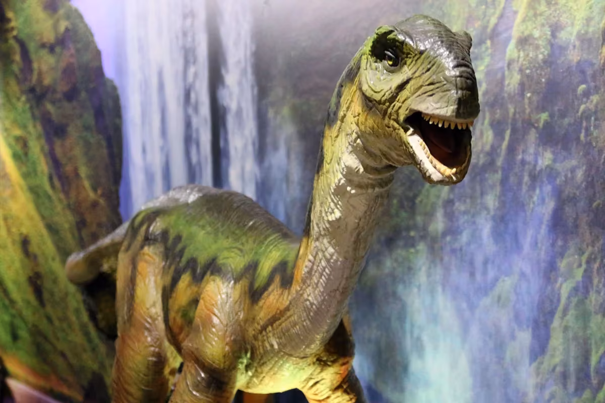 dinoland1