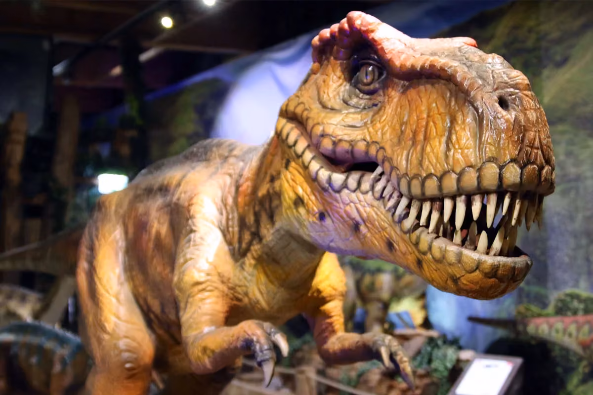 dinoland2