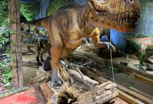 Dinosaurier